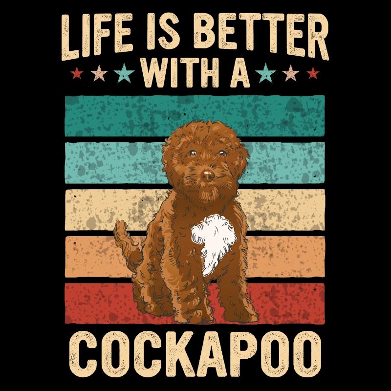 Cockapoo Hund