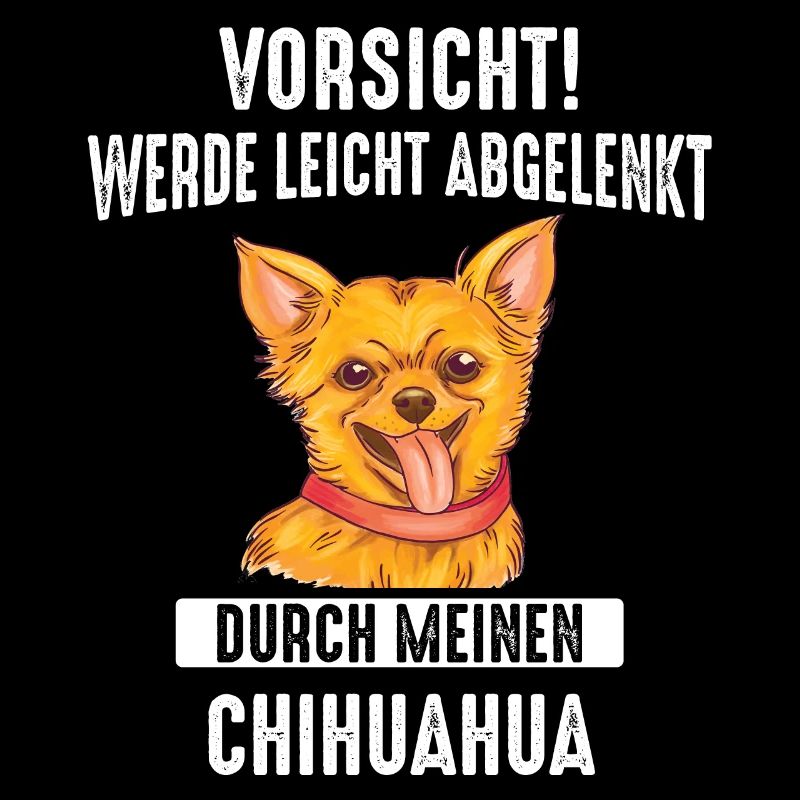 Chihuahua Techichi Hund