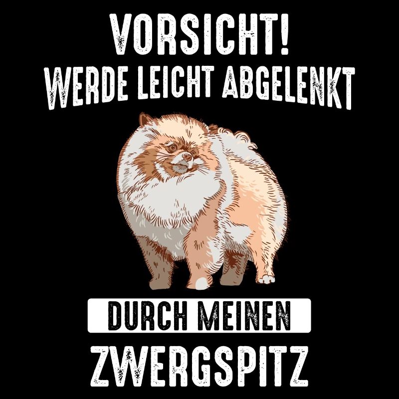 Zwergspitz Pomeranian Hund
