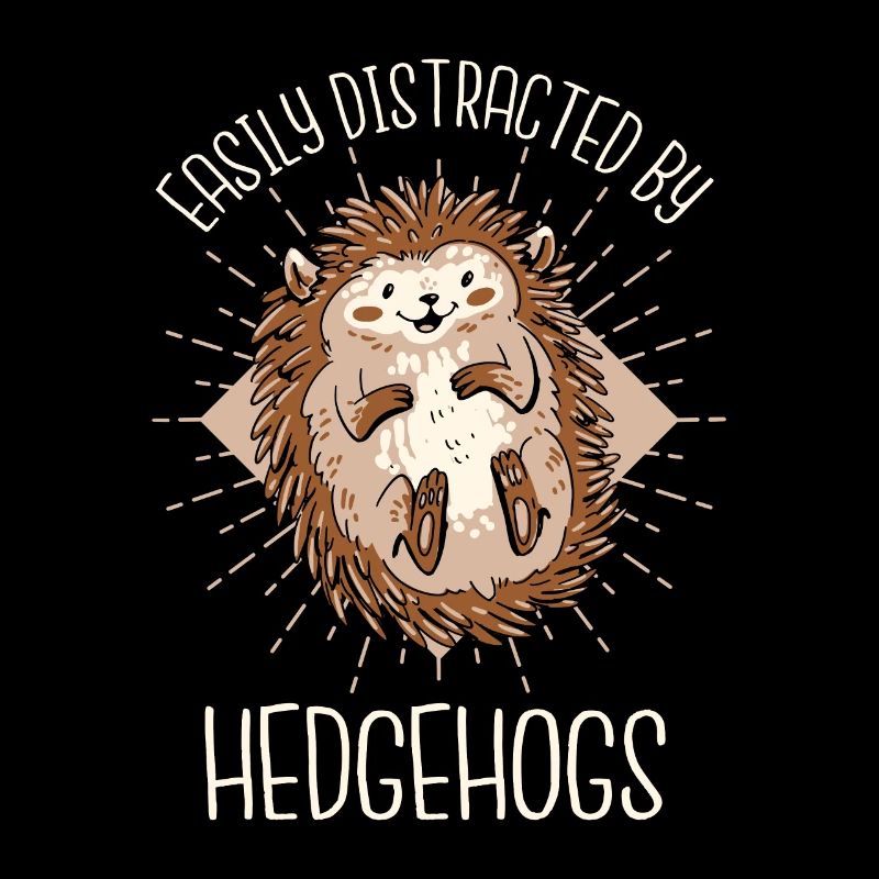 Igel Stachelig Tier Igel