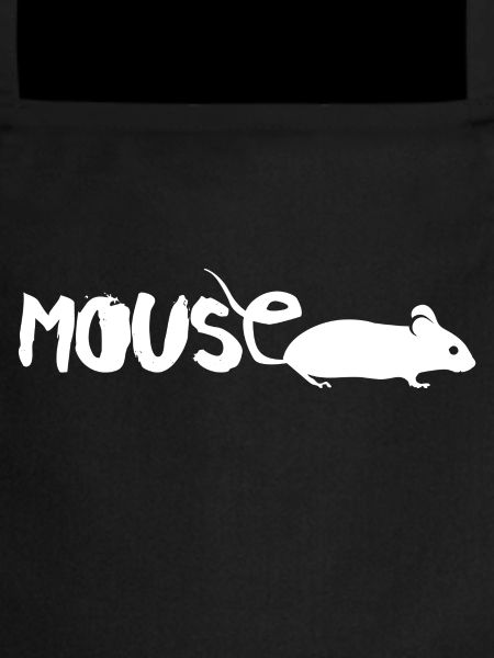 Souris