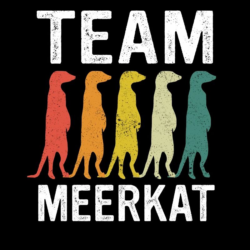 Erdmännchen Tier Erdmann