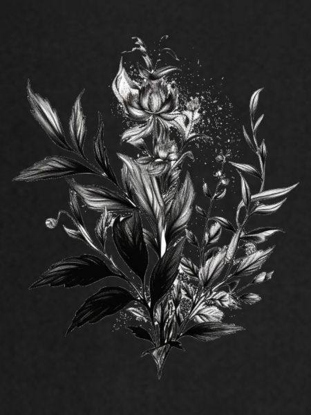 Botanical diversity