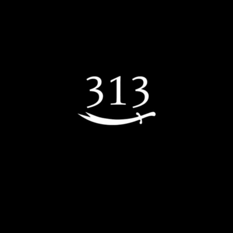 313