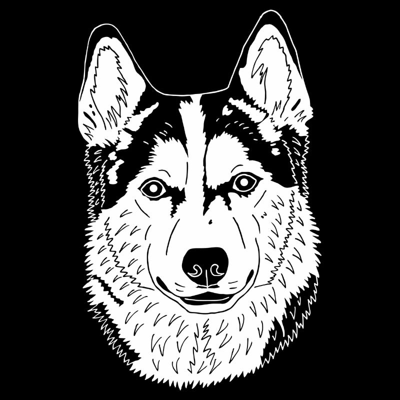 Husky