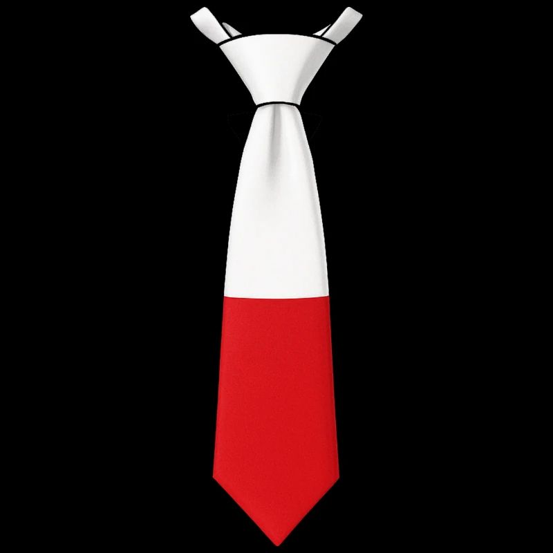 Cravate Pologne – Conception du drapeau