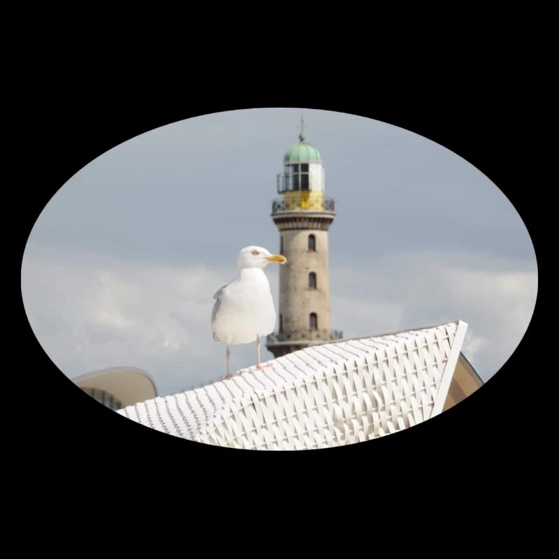 Die Möwe und der Leuchtturm von Warnemünde