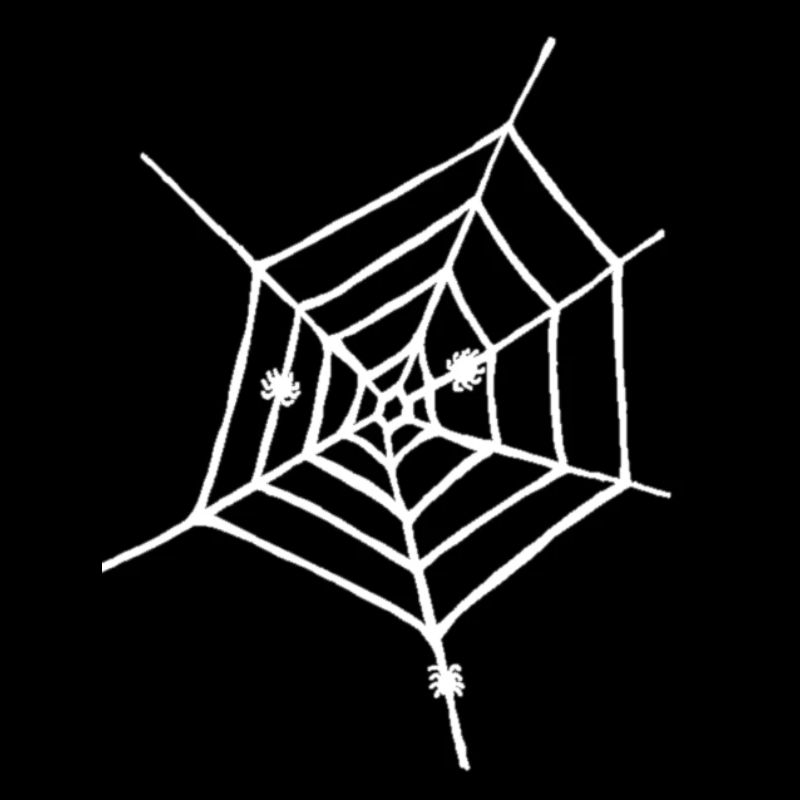 Spider web white