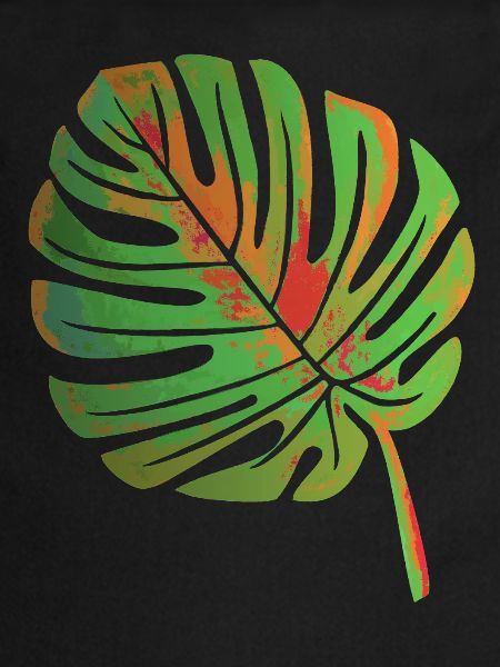 Feuille de Monstera
