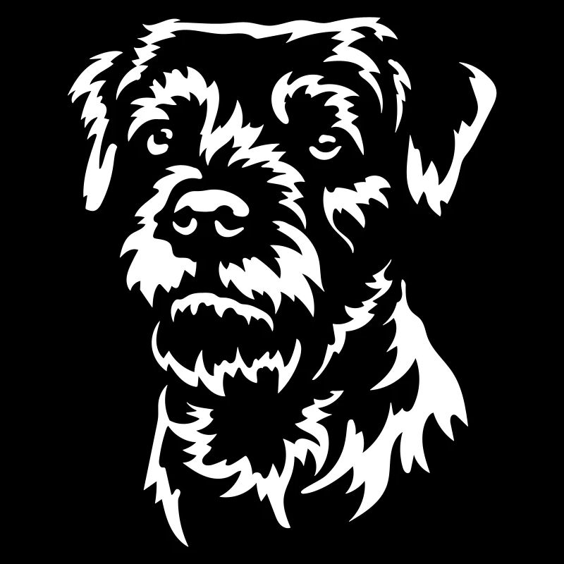 Border Terrier Head "Black Edition"