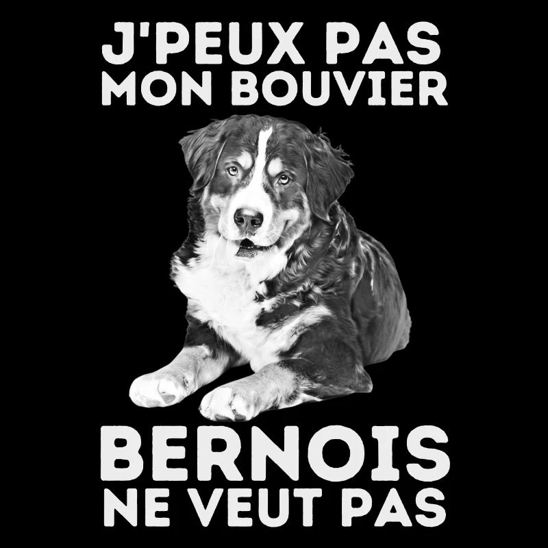 Mon bouvier bernois veut pas