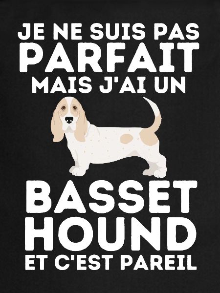basset hound 3