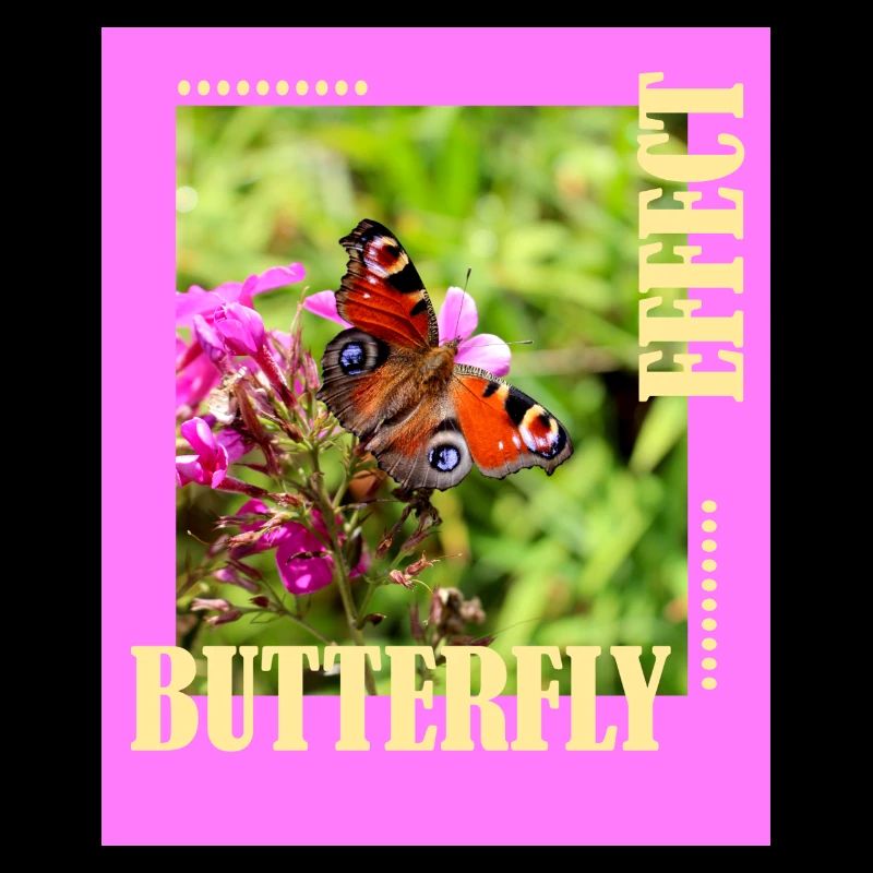 Conception de photos à effet papillon