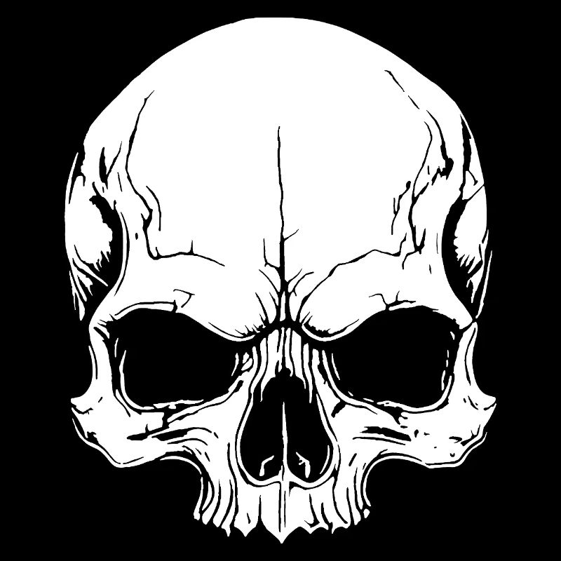 Cool skull design