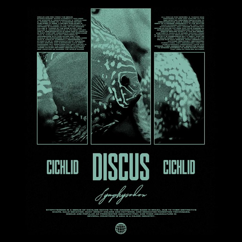 Discus Cichlidé Aquarium Fish Keeper