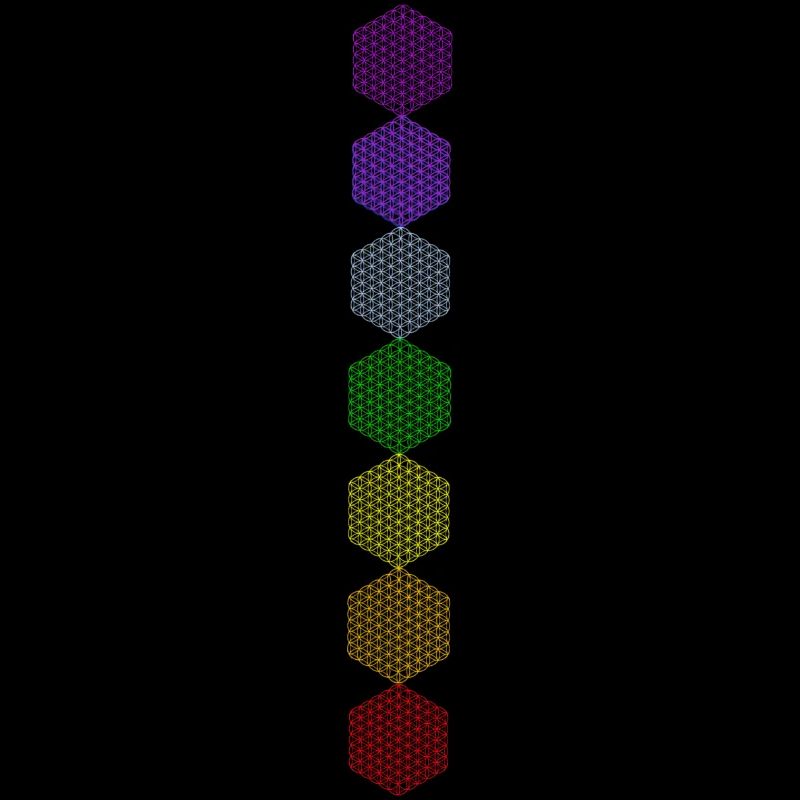 Blume des Lebens - 5. Dimension - 7 Chakren