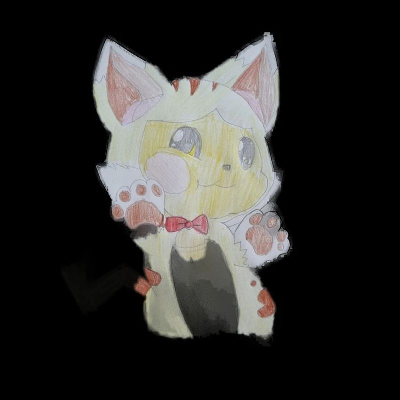Kitten