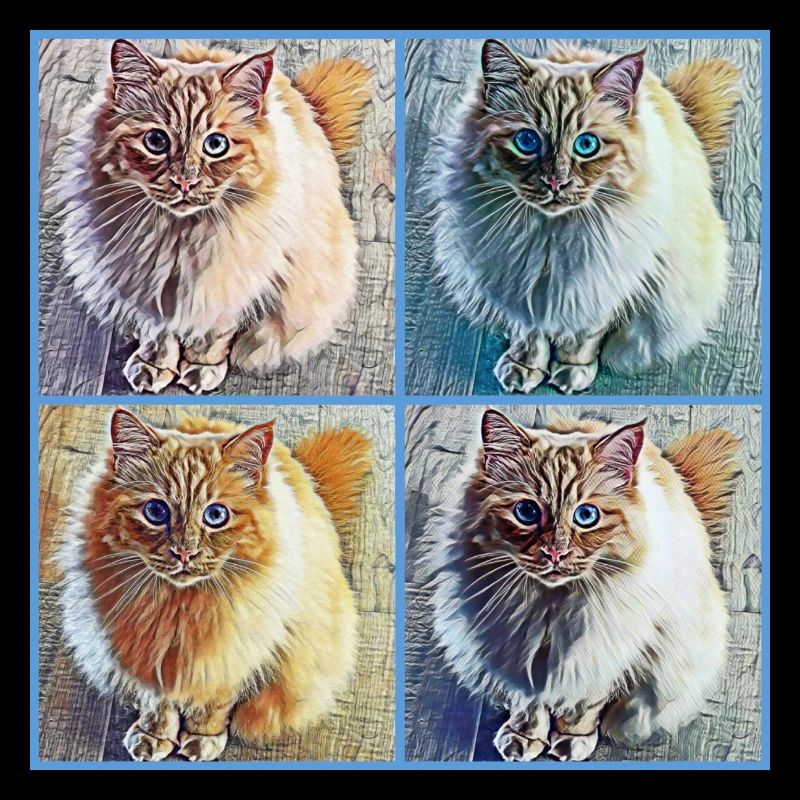 Pop Art Katzen Collage