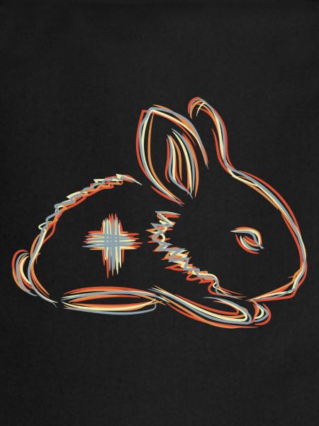 Veterinary Bunny