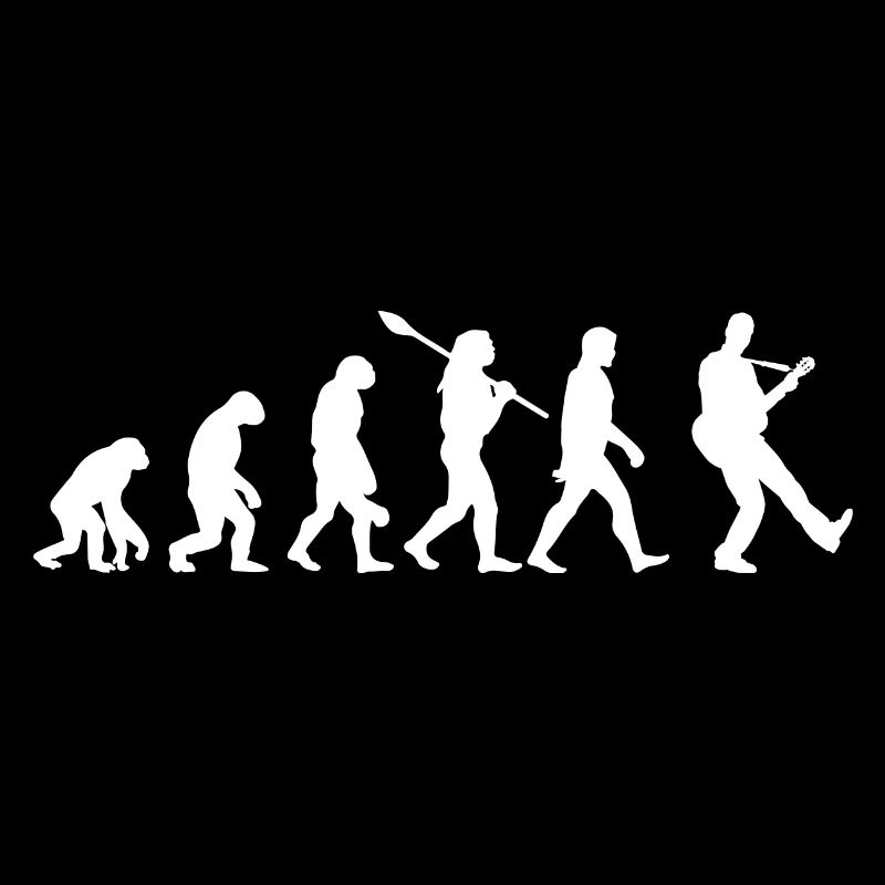 Guitare évolution