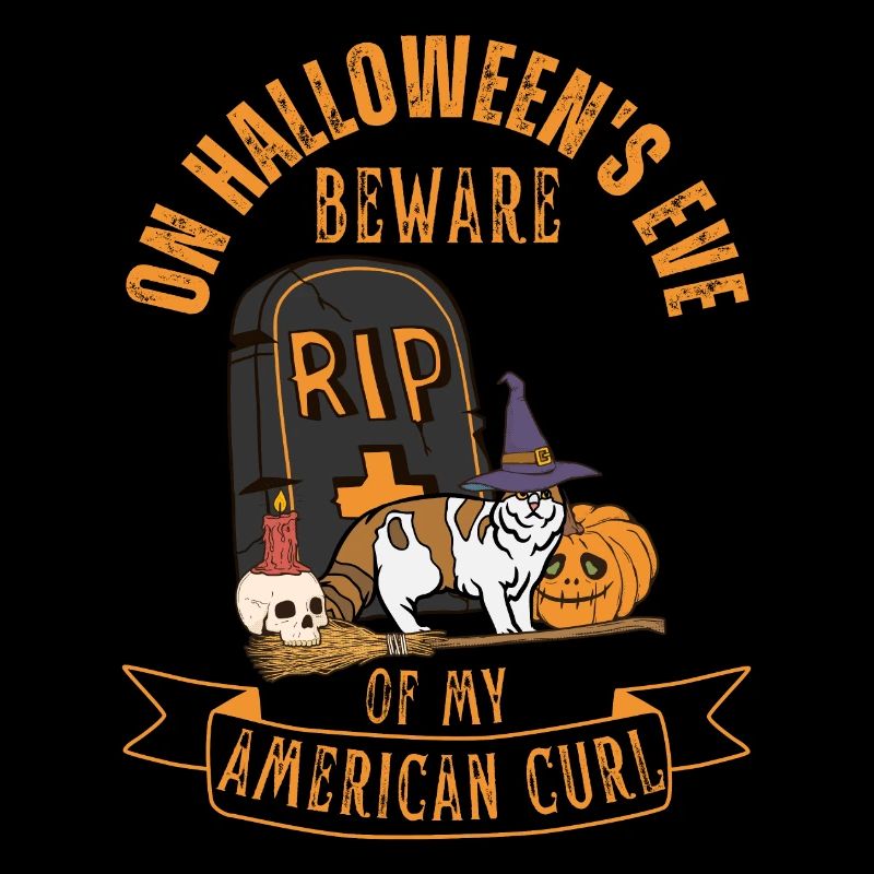 Mignon et effrayant American Curl chat d’Halloween