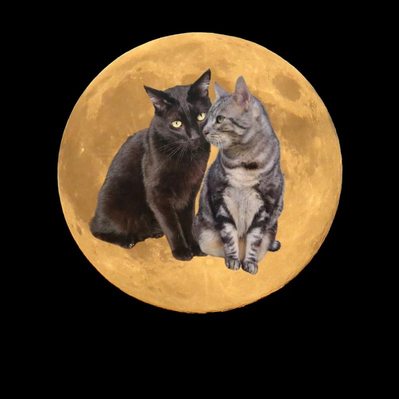 Die Brüder Hintergrund Planet 2