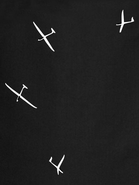Glider Gliding Gliding Glider