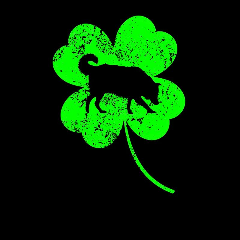 Border-collie Saint-Patrick Trèfle