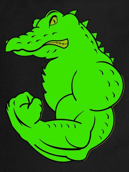 crocodile fort