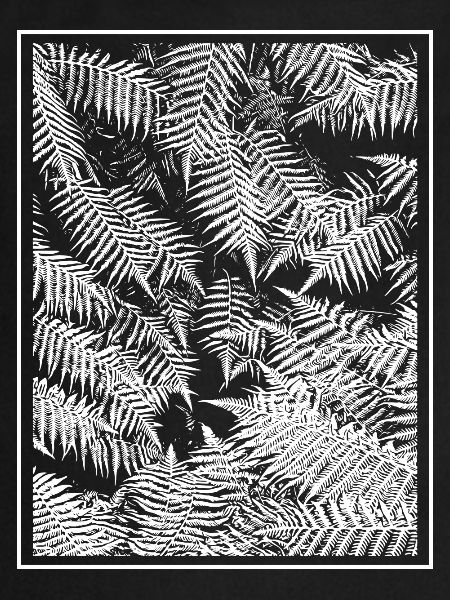 Vegetable fern