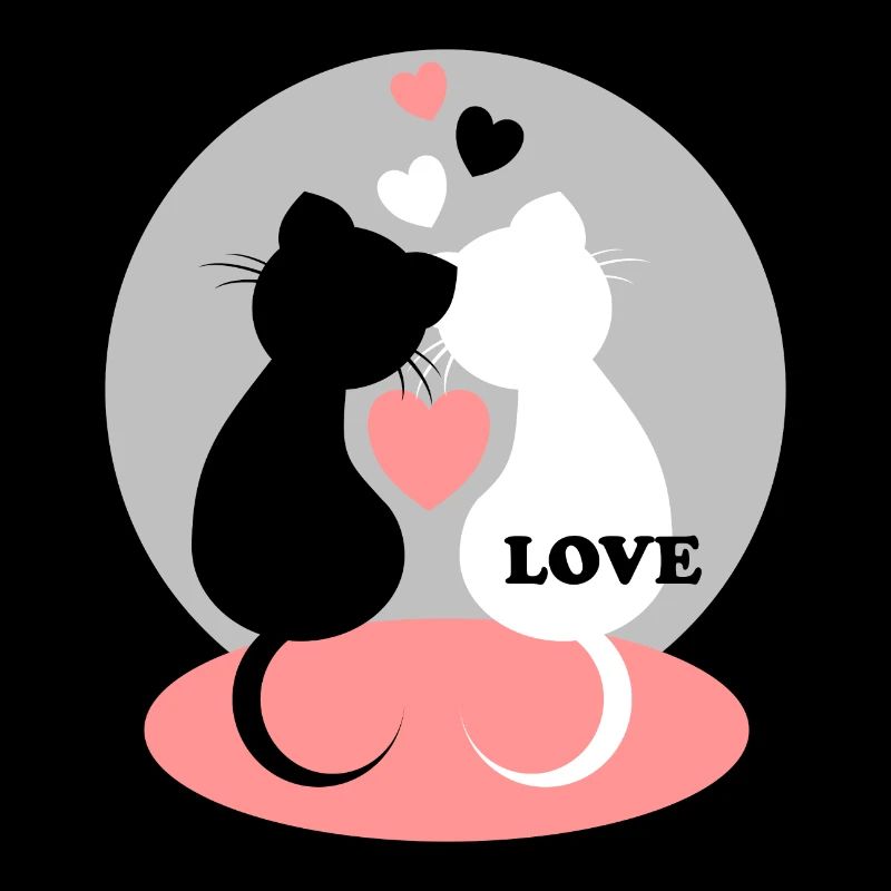 Amour de chat