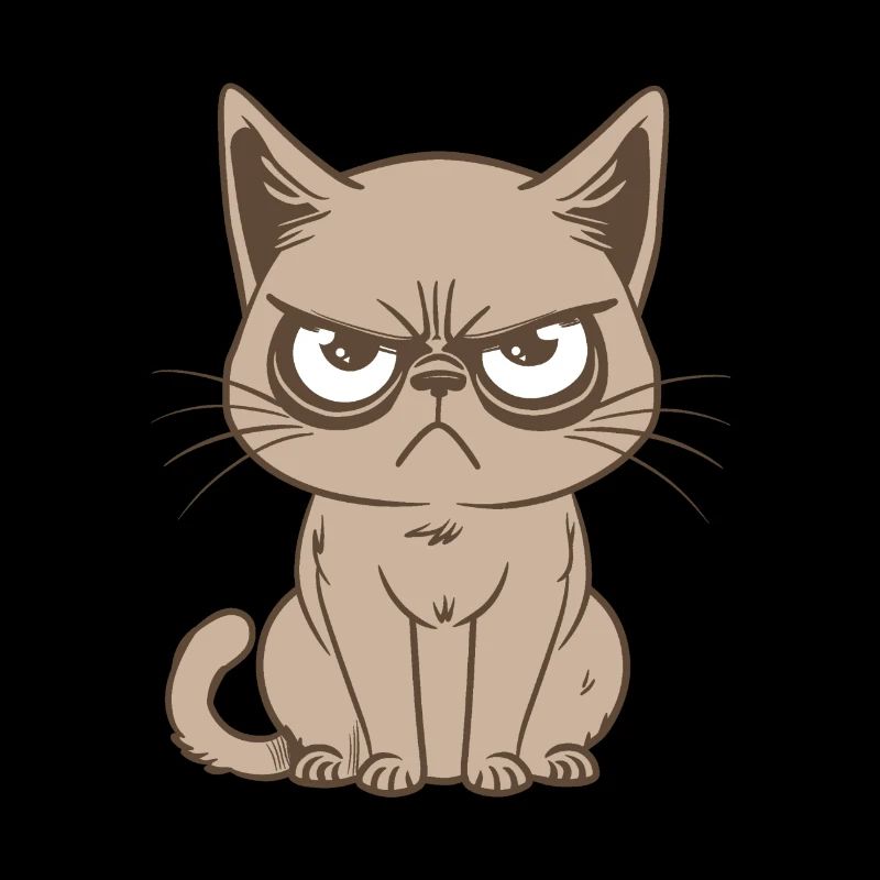 chat énervé, chat drôle, chat pas content