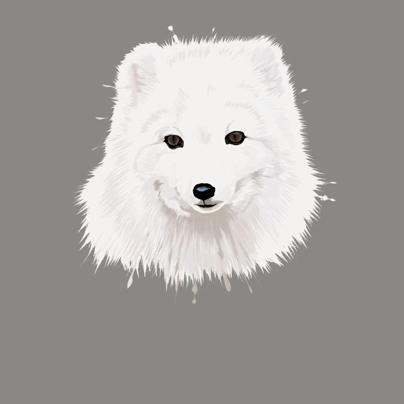 Polarfuchs
