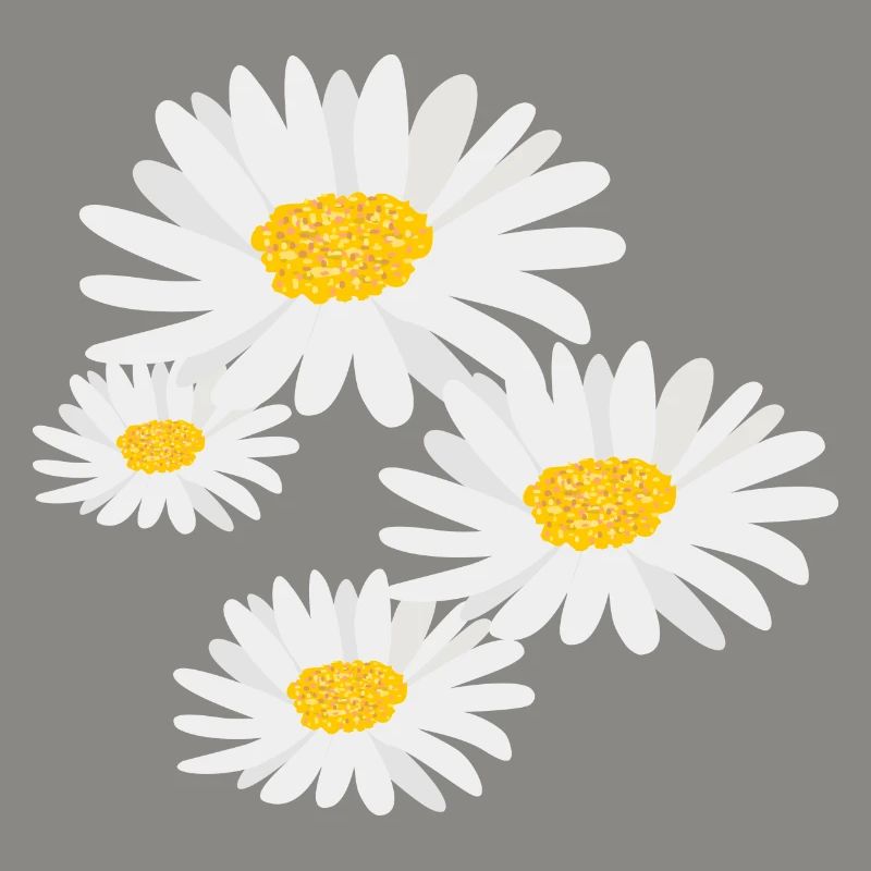 Blume Gänseblümchen