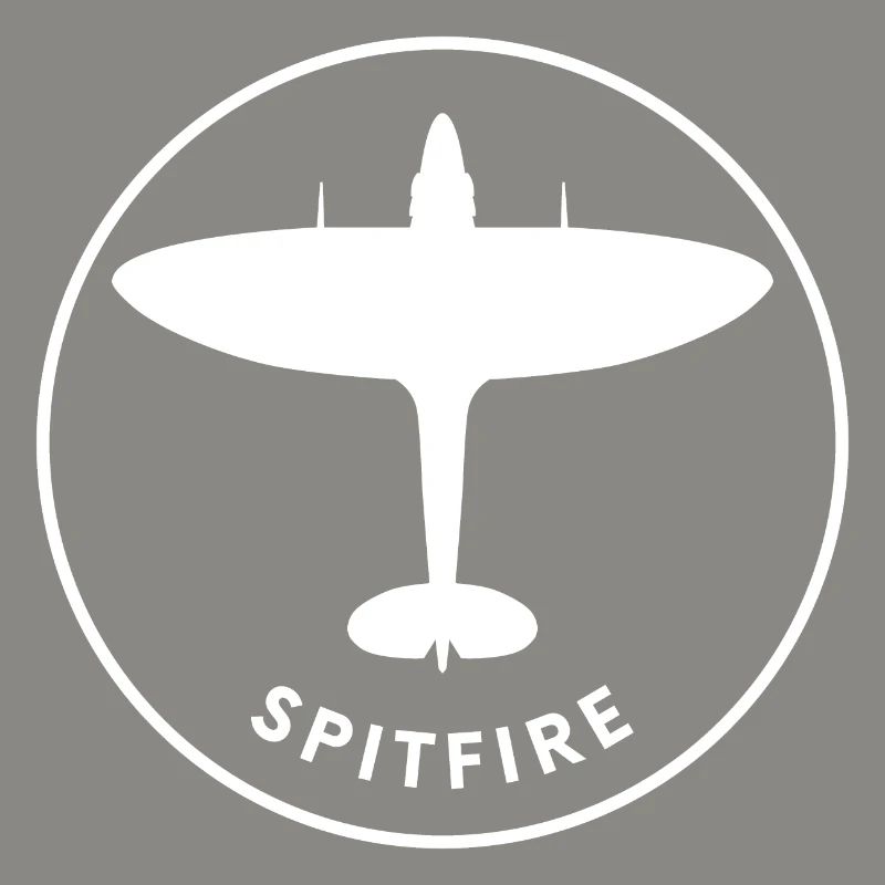 Spitfire fighter plane