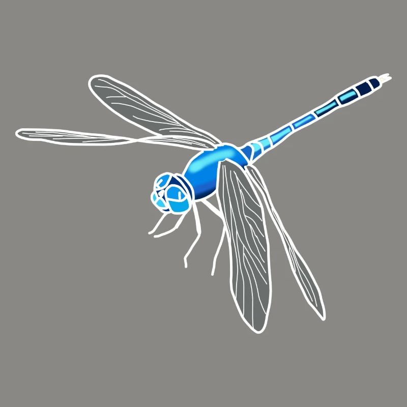 Libellule