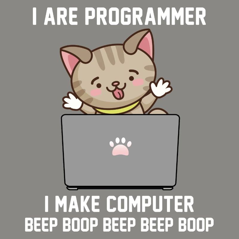 Programmeur