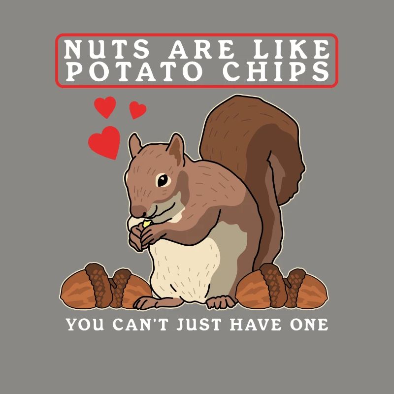 Cute Squirrel Squirrel Grey Squirrel Gift