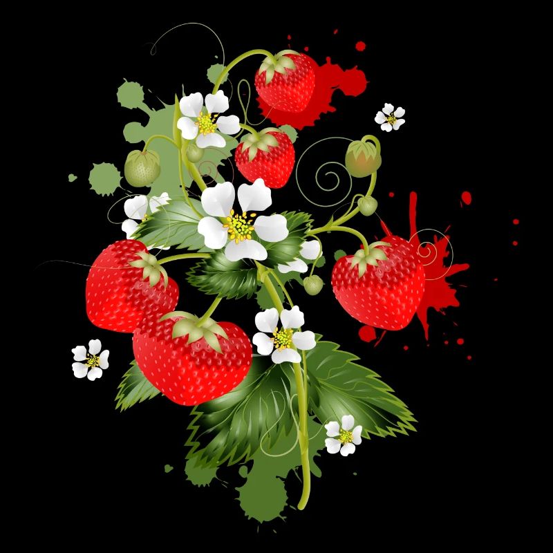 Erdbeeren Pflanze mit Erdbeeren Blüte Graffiti