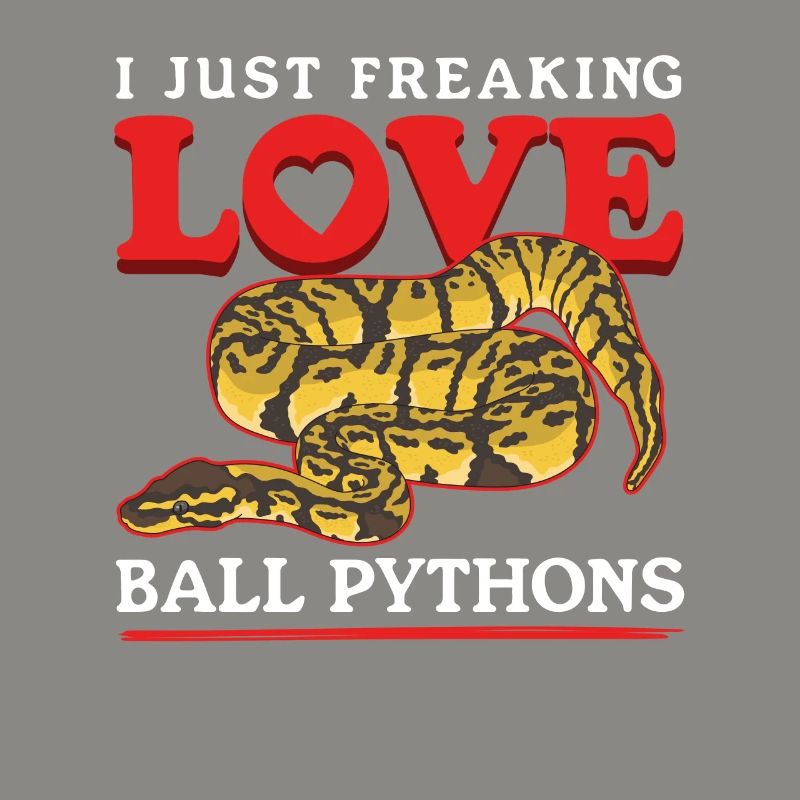 Königspython Schlangen Python Geschenke