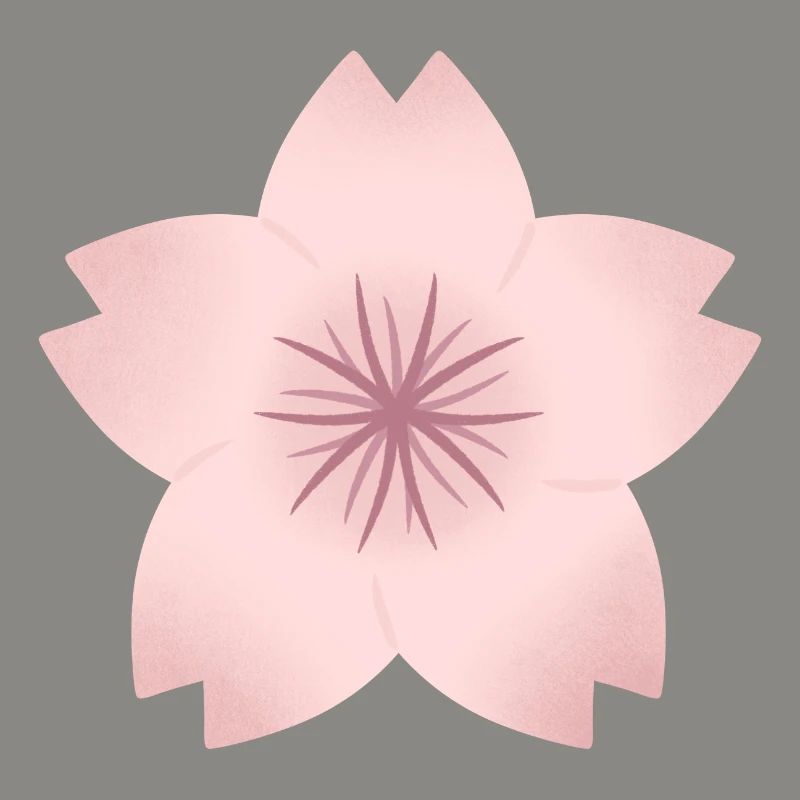 Blush Cherry Bloom