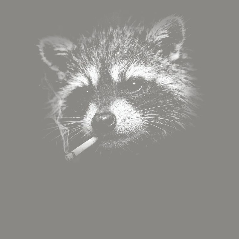 Rauchen, Zigarette, Waschbär raucht eine Zigarette