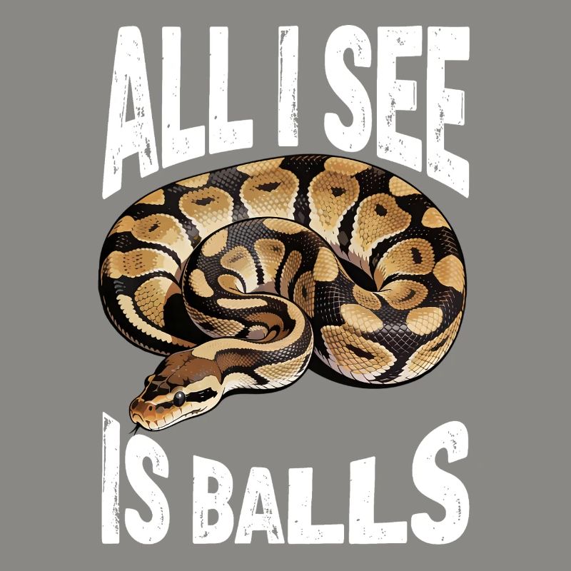 Königspython Schlangen Liebhaber Terrarium Python