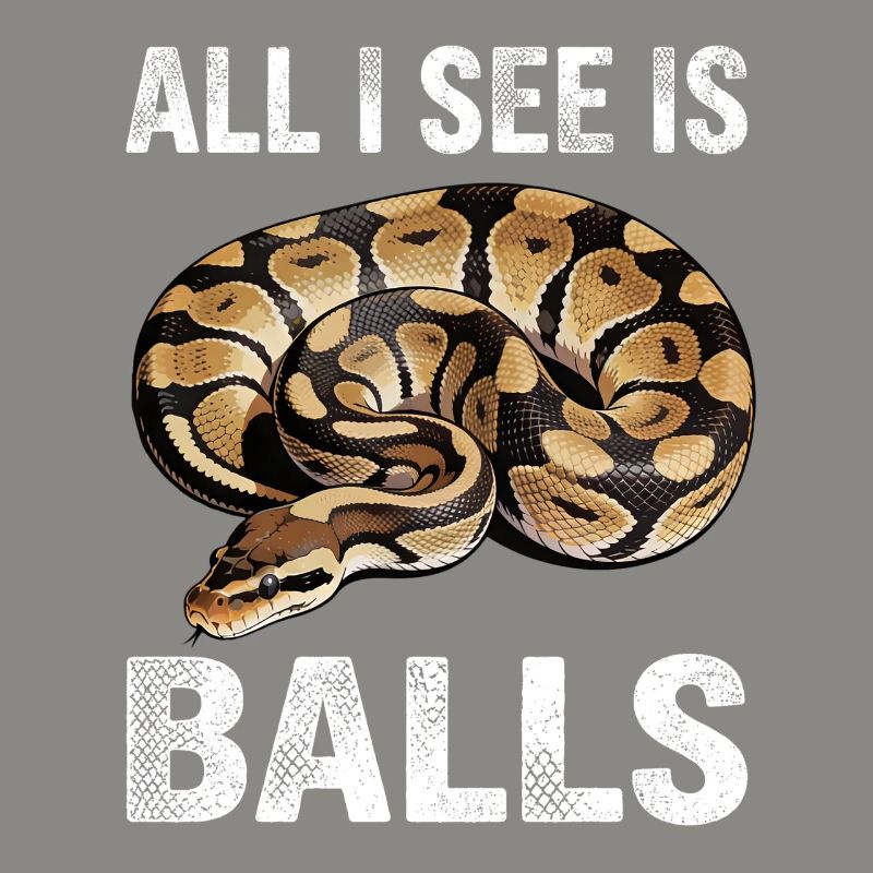 Königspython Schlangen Liebhaber Terrarium Python