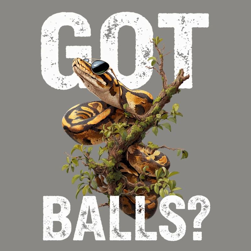 Python roi Serpents Amateurs de terrarium Python