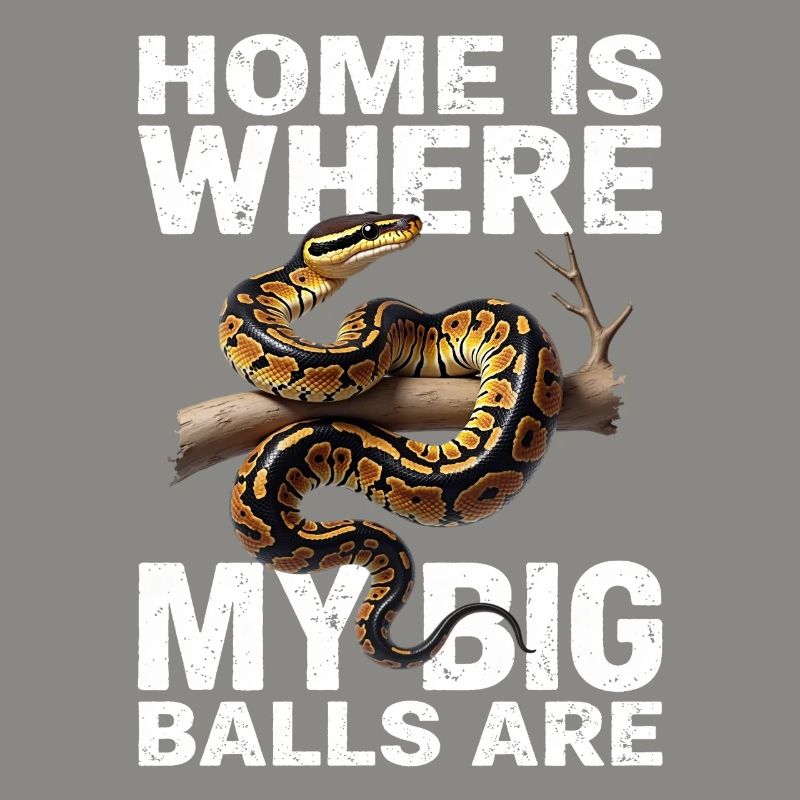 Python roi Serpents Amateurs de terrarium Python