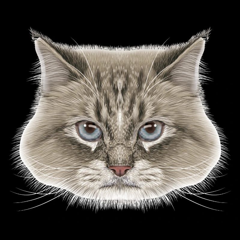 Sibirische Katze 