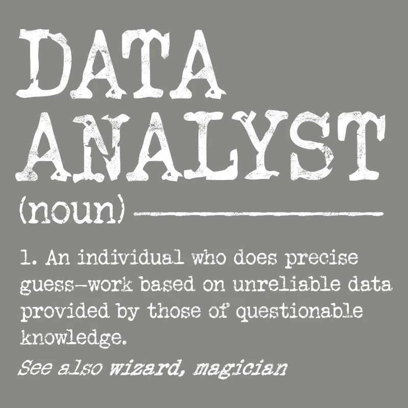 Data Analyst Meme Tee