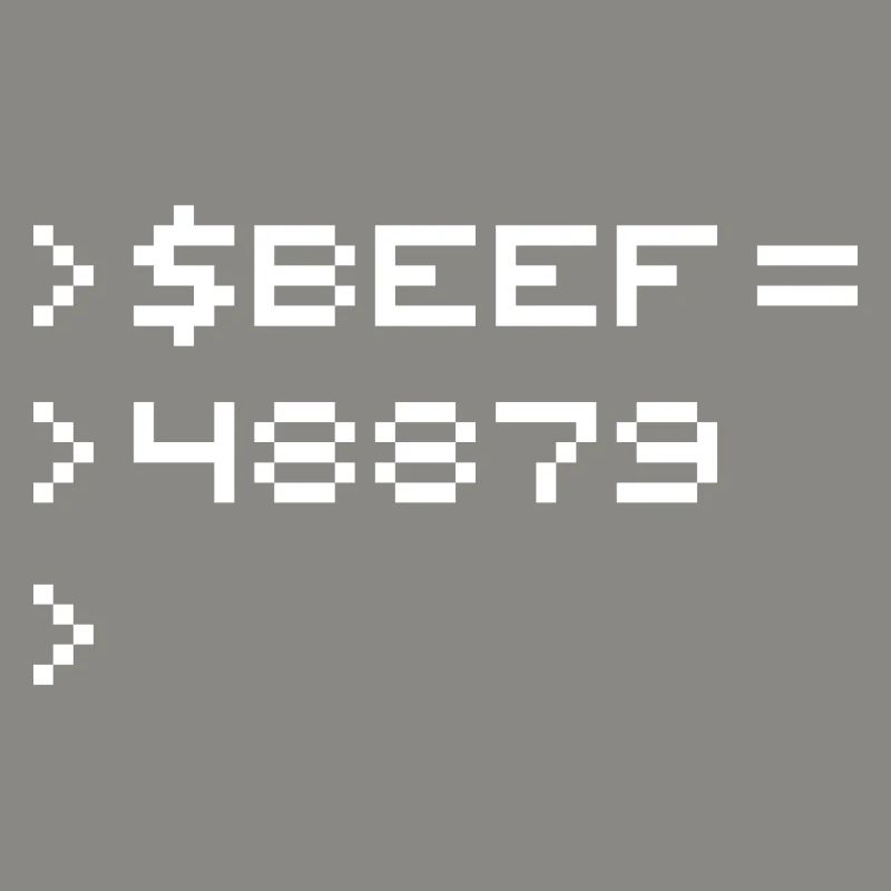 BEEF 8-Bit Code Nerd Pixel Terminal Retro