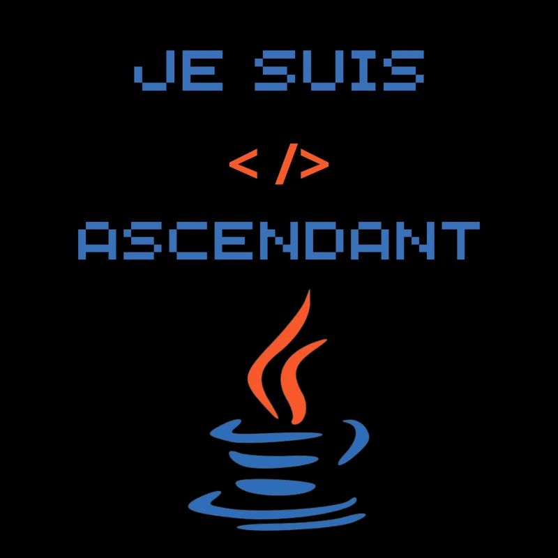 cadeau pour développeur java